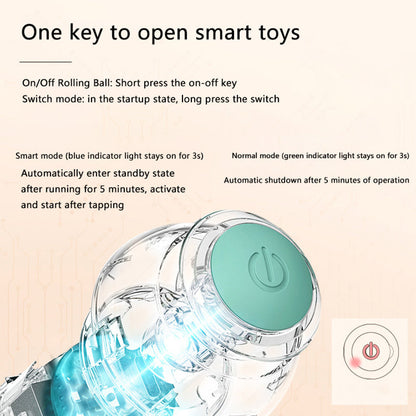 Voltify Interactive Cat Ball – Self-Moving Electric Toy for Cats