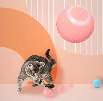 Voltify Interactive Cat Ball – Self-Moving Electric Toy for Cats